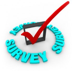 Small Business CIO Survey