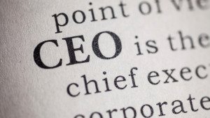 The role of the CEO