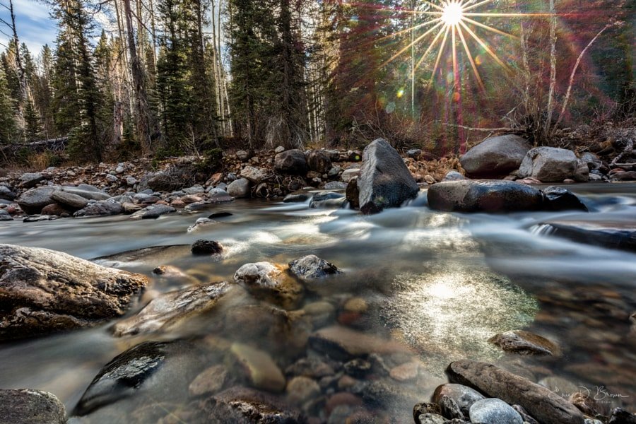 Shining Light, Cascade Creek
